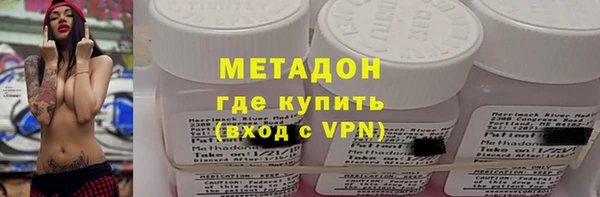 сатива Гусь-Хрустальный