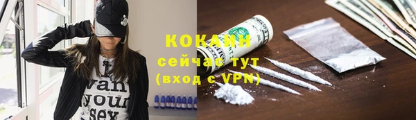 винт Гусев