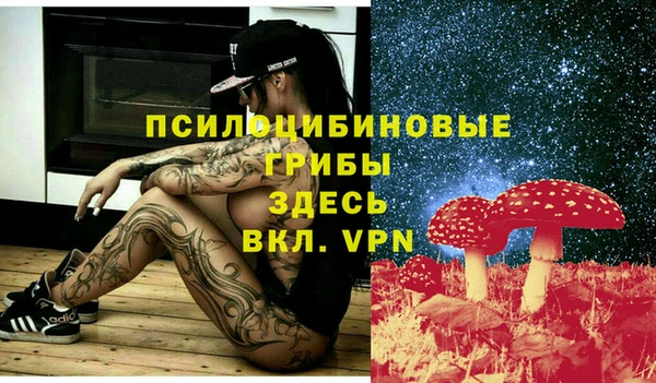 винт Гусев
