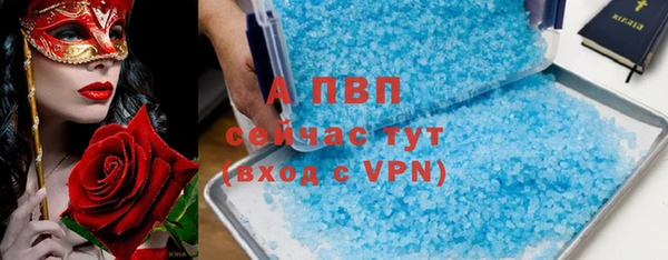 винт Гусев