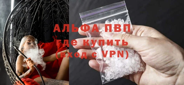 сатива Гусь-Хрустальный