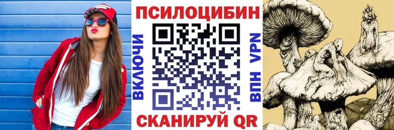 Купить закладки  Лесосибирск  Псилоцибиновые грибы Magic Shrooms 