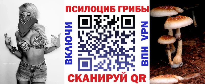 Псилоцибиновые грибы Cubensis Лесосибирск