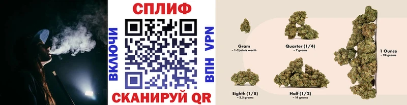 Купить где  Лесосибирск  Конопля план 